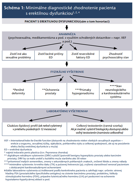 Minimálne diagnostické zhodnotenie pacienta s erektilnou dysfunkciou.