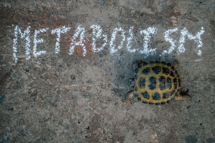 Ľudia s „pomalým metabolizmom“ spotrebujú denne menej energie