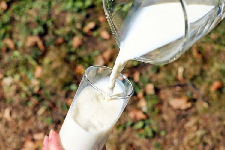 Alergia na mlieko alebo laktózová intolerancia? Ako zistiť rozdiel?