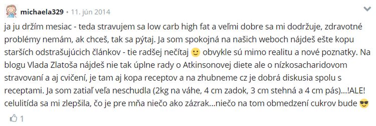 Skúsenosti s Atkinsonovou diétou modrykonik.sk