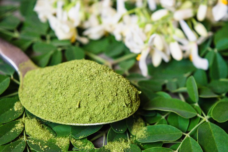 Moringa Oleifera má výborné účinky na organizmus