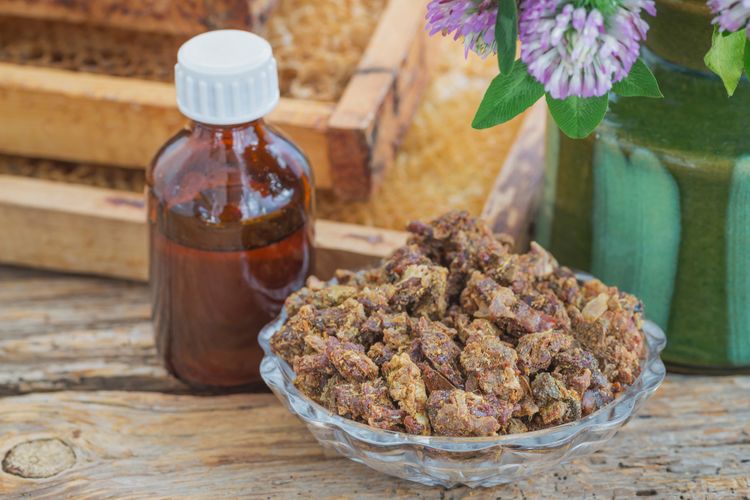 Propolis v prírodnej forme