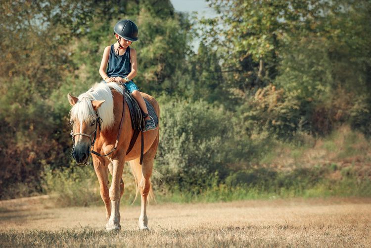 Hipoterapia je využiteľná pri širokej škále ochorení