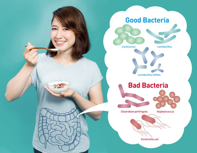 Dobré a zlé baktérie v črevách