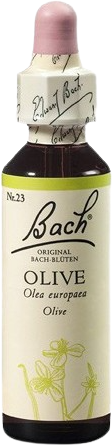 A. Nelson OLIVE Oliva európska 20 ml