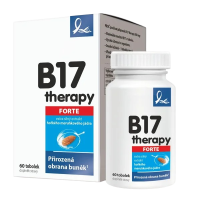 B17THERAPY FORTE 500 mg 60 tvrdých kapsúl