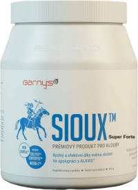 Barny's Sioux MSM Super Forte 600 g