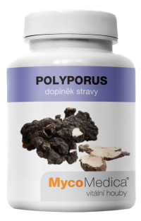 MycoMedica Polyporus extrakt 90 kapsúl