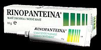 RINOPANTEINA MASŤ DO NOSA ung nas 10 g