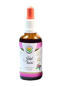 Salvia Paradise Jetel luční AF tinktura 50 ml