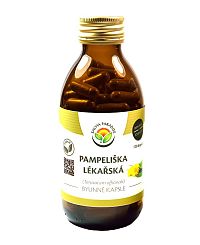 Salvia Paradise Pampeliška lékařská 120 kapsúl