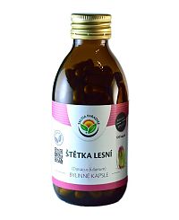 Salvia Paradise Štětka lesní 120 kapsúl