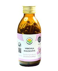 Salvia Paradise Vrbovka malokvetá 120 kapsúl