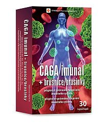 Synergia Čaga imunal + brusnice 30 kapsúl