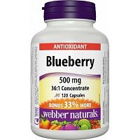 Webber Naturals Čučoriedka 120 tabliet