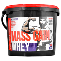 Megabol Whey Mass Gain 3000 g jahoda