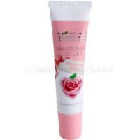 Bielenda Delicate Rose vazelína na pery  10 g