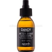 DANDY After Shave voda po holení 100 ml