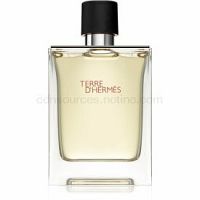 Hermès Terre d’Hermes toaletná voda pre mužov 100 ml  