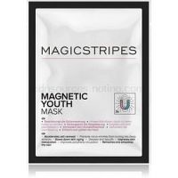 MAGICSTRIPES Magnetic Youth  1 ks