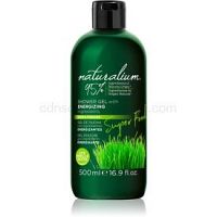 Naturalium Super Food Wheatgrass energizujúci sprchový gél 500 ml