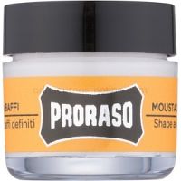 Proraso Wood and Spice vosk na bradu 15 ml