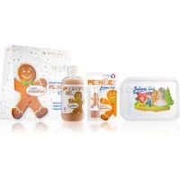 Regina Gingerbread kozmetická sada I. 