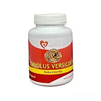 Trúdnikovec pestrý - Coriolus Versicolor