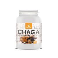 Allnature Chaga 1×100 cps, výživový doplnok