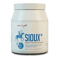 Barny's Sioux MSM Super Forte 600 g