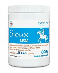 BARNY'S Sioux MSM Super Forte prášok 1x600 g