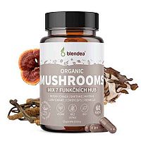 BLENDEA BIO MUSHROOMS ORGANIC 60CPS 1×60 cps