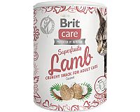 Brit Care Cat Snack Superfruits Lamb 1×100 g, maškrta pre mačky