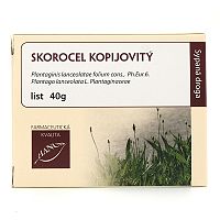 Čaj Skoroceľ kopijovitý list 1×40g