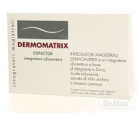 DERMOMATRIX integratori magistrali 1×20 ks