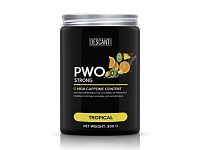 Descanti PWO Strong Tropical 300 g