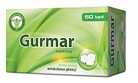 DIAMizin Gurmar cps 1x50 ks