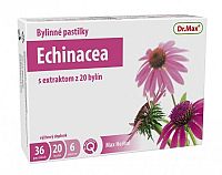 Dr.Max Bylinné pastilky Echinacea 36 ks