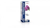 Dr.Max Kostihojová masť 60 ml