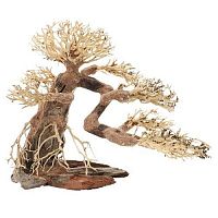 Dupla Bonsai L 40x20x30 cm