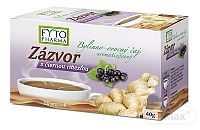 FYTO Zázvor s čiernou ríbezľou 20×2 g (40 g)