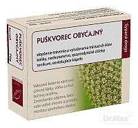 Hanus PUŠKVOREC OBYČAJNY KOREŇ 70 g