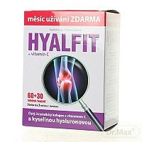 HYALFIT + vitamín C cps 60+30 (90 ks)
