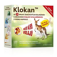 Klokan (Jarná edícia)