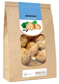 Mycomedica Hericium Sušené 100g 1×100 g