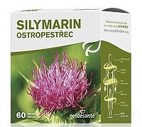 Nefdesanté Silymarin 60 tabliet