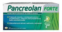 Pancreolan Forte tbl.ent.60 x 220 mg