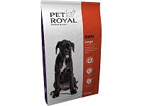 Pet Royal Puppy Large 15,5 kg