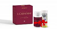 Premium L-Carnosine + Acidofit ako 60 kapsúl + 10 tabliet Acifdofit