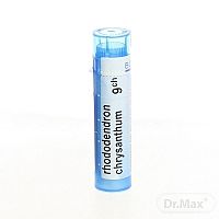 Rhododendron Chrysanthum gra.1 x 4 g 9CH
